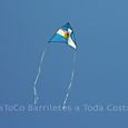 Festivalrosario66