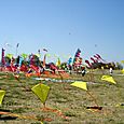 Festivalrosario68