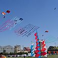 Festivalrosario28