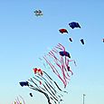 Festivalrosario32