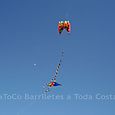Festivalrosario80