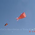 Festivalrosario17