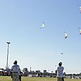 Fviento2006102