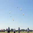 Fviento2006103