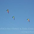 Fviento2006207