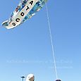 Fviento200605