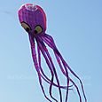 Fviento2006142