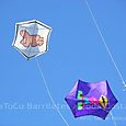 Fviento2006167