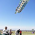 Fviento200631
