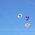 Fviento2006151