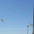 Fviento2006109