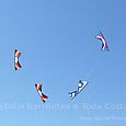 Fviento200664
