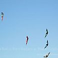 Fviento2006205