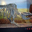 Museo Paleontológico - Trelew