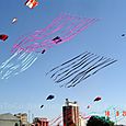 Festivalrosario29