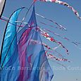 Festivalrosario23