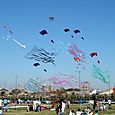 Festivalrosario31