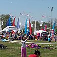 Festivalrosario24