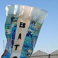 Festivalrosario84