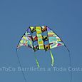 Festivalrosario1
