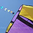 Festivalrosario63