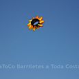 Festivalrosario54