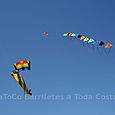 Festivalrosario53