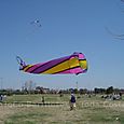Festivalrosario61