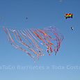 Festivalrosario33