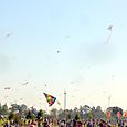 Festivalrosario88