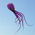 Fviento2006141