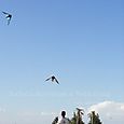 Fviento2006130