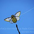 Fviento2006204