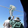 Fviento200632