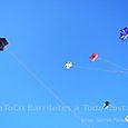 Fviento2006146