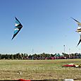 Fviento2006188