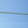 Fviento200684