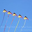 Fviento200635