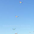 Fviento2006113