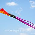 Fiesta_viento_2007_1