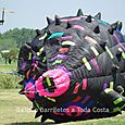 Fiesta_viento_2007_2