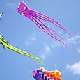 Fiesta_viento_2007_36