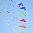 Fiesta_viento_2007_77
