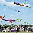 Fiesta_viento_2007_131
