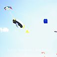 Fiesta_viento_2007_24