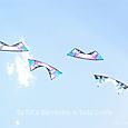 Fiesta_viento_2007_117