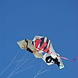 Fiesta_viento_2007_157