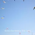 Fiesta_viento_2007_170