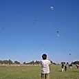 Delagarmavuelo02