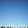 Delagarmavuelo19